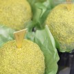 宇治抹茶のケーキ maison de gateau |宇治抹茶のケーキ