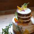maison de gateau ｜Fresh Cake［halfnaked chocorat］