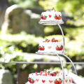 maison de gateau ｜Fresh Cake［C3-05］