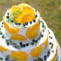 maison de gateau ｜Fresh Cake［C3 orangeberry 01］