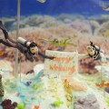 maison de gateau ｜Original Design Cake［figure diving］