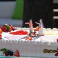 maison de gateau ｜Original Design Cake［momoclo］