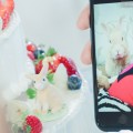 maison de gateau ｜Original Design Cake［usagichan］