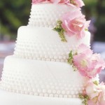 maison de gateau ｜Sugar Cake [00]
