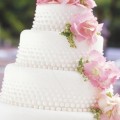 maison de gateau ｜Sugar Cake [00]