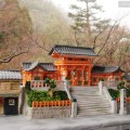 maison de gateau ｜Special Order Cake [八坂神社]