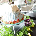 maison de gateau ｜Special Order Cake［Mt.FUJI］
