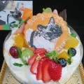 maison de gateau ｜Birthday Cake