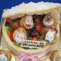 maison de gateau ｜Birthday Cake