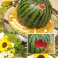 maison de gateau ｜Special Order Cake［スイカ］
