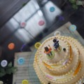 maison de gateau ｜Special Order Cake［フリスビー］