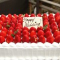 maison de gateau ｜Fresh Cake［S1-01］